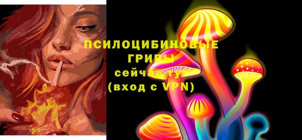 прущие грибы Балахна
