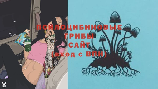 гидропоника Балабаново