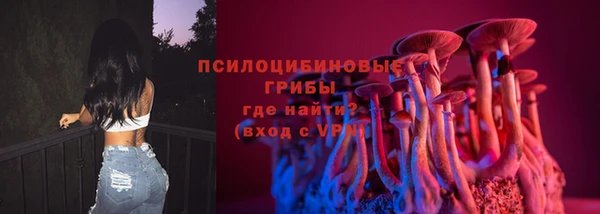 мяу мяу мука Баксан