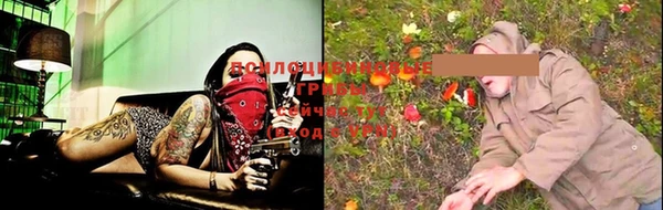 прущие грибы Балахна