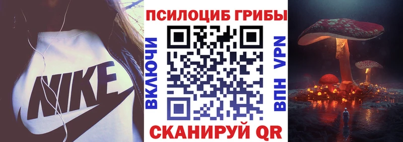 Псилоцибиновые грибы Magic Shrooms  где купить наркотик  Михайлов 